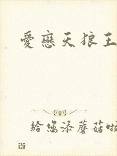 爱恋天狼王子