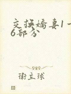 交换娇妻1一36部分