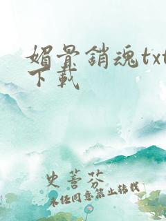 媚骨销魂txt下载