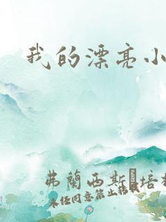 我的漂亮小后妈