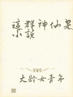 这群神仙是假的小说