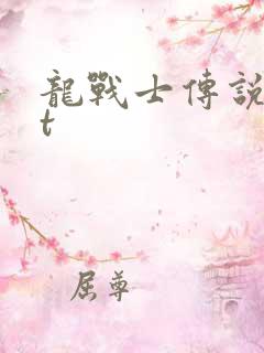 龙战士传说txt