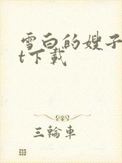 雪白的嫂子txt下载