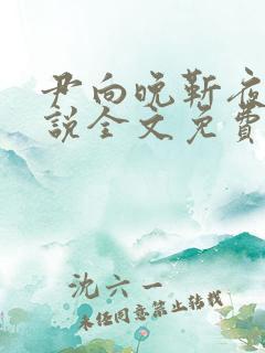 尹向晚靳夜擎小说全文免费阅读无弹窗