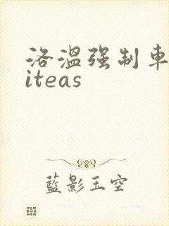 洛温强制车writeas