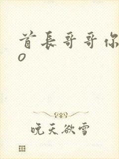 首长哥哥你好po