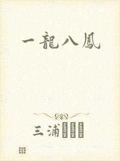 一龙八凤