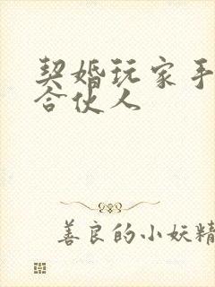 契婚玩家手册之合伙人