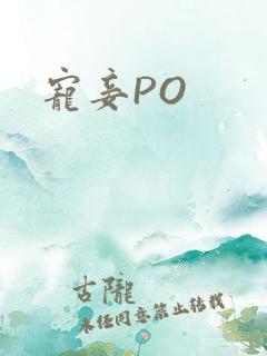 宠妾PO