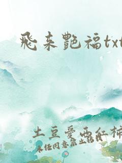 飞来艳福txt