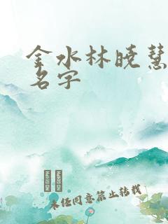 金水林晓慧小说名字