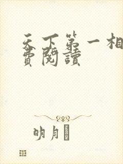 天下第一相书免费阅读