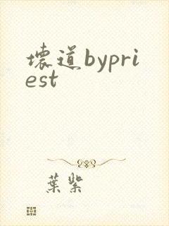 坏道bypriest