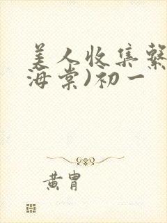 美人收集系统(海棠)初一