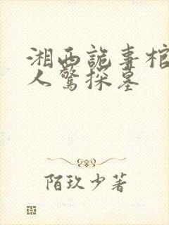 湘西诡事棺山道人惊探墓