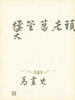 楼管葛老头的春天