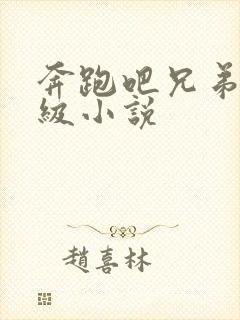 奔跑吧兄弟限制级小说