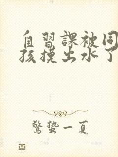 自习课被同桌男孩摸出水了