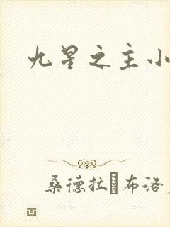 九星之主小说