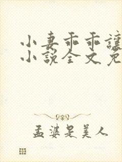 小妻乖乖让我宠小说全文免费阅读