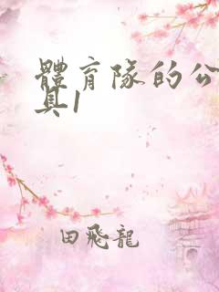 体育队的公用玩具1