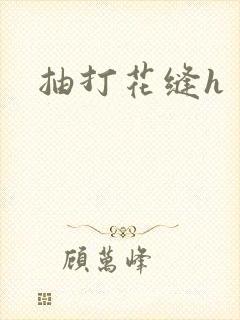 抽打花缝h