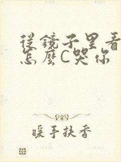 从镜子里看我是怎么C哭你