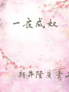 一夜成奴