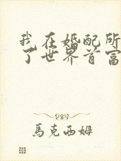 我在婚配所摇到了世界首富小说