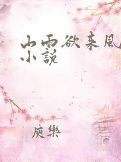 山雨欲来风满楼小说