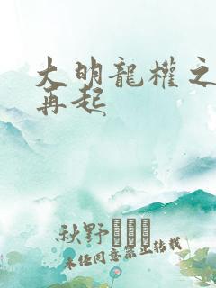 大明龙权之风云再起