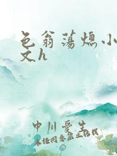 色翁荡熄小说全文h