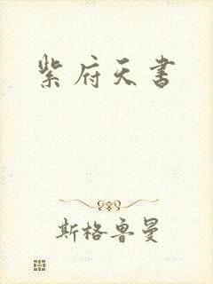 紫府天书