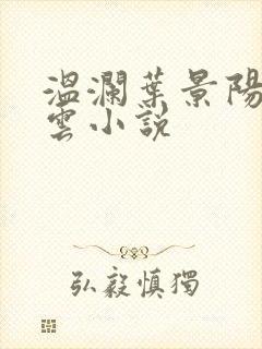 温澜叶景阳温云云小说