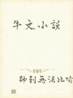 牛文小说