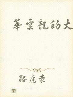 华云龙的大宝贝