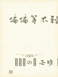 偏偏等不到小说