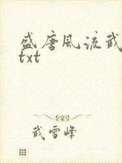 盛唐风流武状元txt