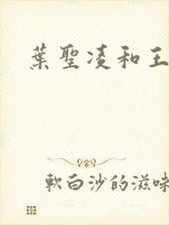 叶圣凌和王可馨