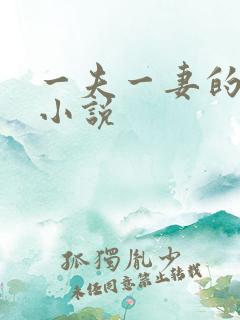 一夫一妻的玄幻小说