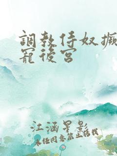 调教侍奴撅臀男宠后宫