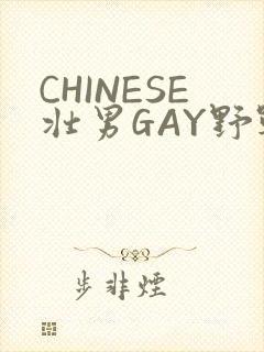 CHINESE壮男GAY野战强迫TUBE