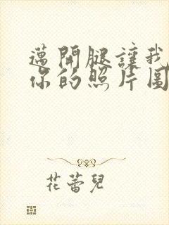 迈开腿让我看看你的照片图片