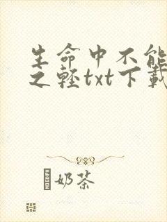 生命中不能承受之轻txt下载