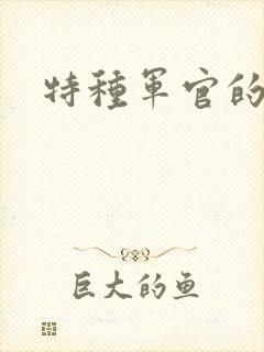 特种军官的宠妻