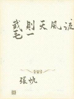 武则天风流艳情毛一