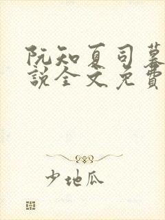 阮知夏司暮寒小说全文免费