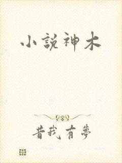 小说神木