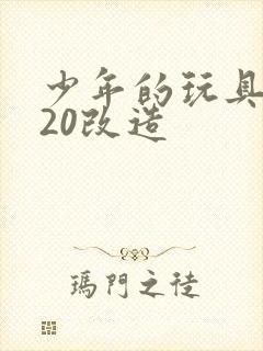 少年的玩具1一20改造