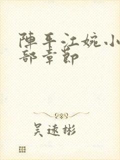 阵平江婉小说全部章节
